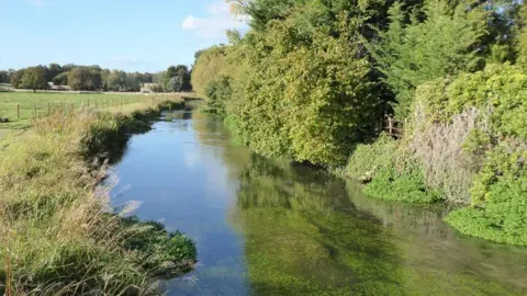 A river with trees and bushes on the right and grass fields on the left. 