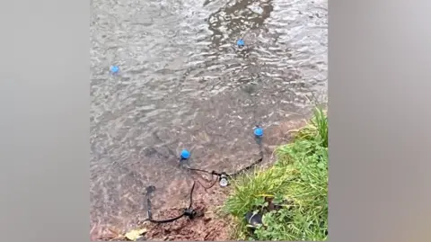 Jerry Pearce Blue lights in water