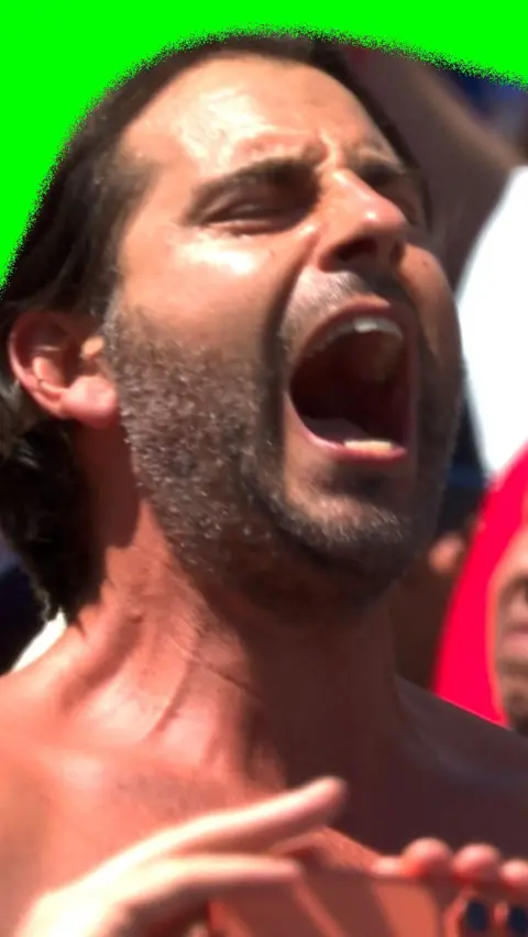 France fan in crowd singing 