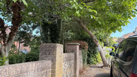 Toby Friedner/BBC A tree on a pavement is crooked, bent over a footpath and blocking access.