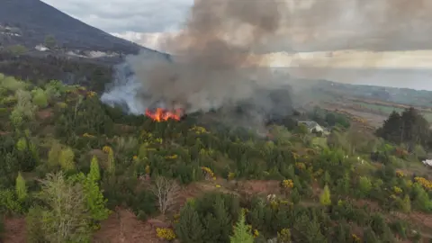 Aerial footage shows flames burning 