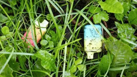 Defra Two vapes in green grass and leaves.