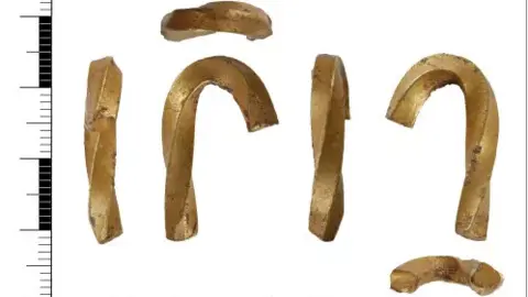 The Portable Antiquities Scheme There are six gold hook shaped metal items in a line, each of them from a different angle.