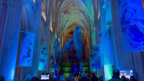 Winchester Cathedral A different angle of the whales inside Winchester Cathedral's nave. Again the cathedral is dimly lit with a blue tint to it to make it feel like an immersive underwater scene. The three whales are a grey colour and there are multicoloured lights towards the back of the cathedral in green, orange and yellow.