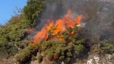 A fire on open scrubland.