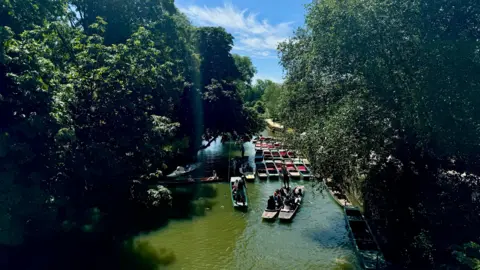 EstherJ FRIDAY - Punts on the river in Oxford, the shot is framed by dark green trees. On the river there are several moored brightly coloured punts, four have passengers and are being punted on the green water. The photo is taken from above, likely from the bridge over the river.