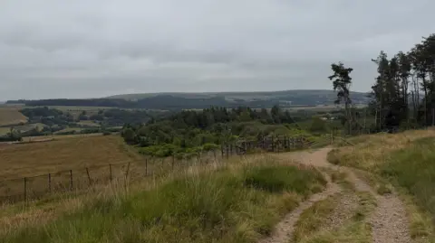 A footpath on a hills is surrounded by fencing and trees and hills and cloudy skies can bee seen in the distance.