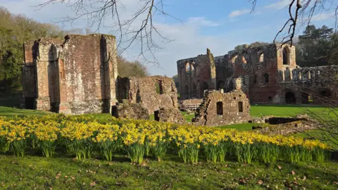Reggie Furness Abbey in Barrow in Cumbria. There are yellow flowers in front of the ruins of an abbey. The sky is blue and there are tree branches at the edge of the photo. 