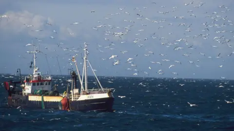 Chris Gomersall/RSPB Danish trawler fishing for sandeels with gannets and kittiwakes flying around it