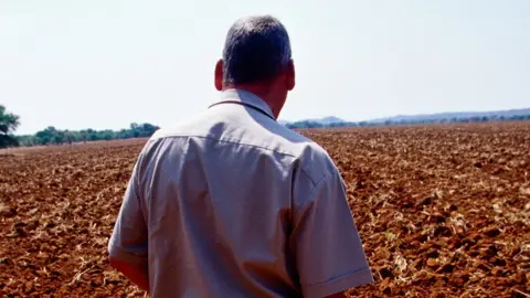 A white farmer who lost land looks a tilled soil in Zimbabwe