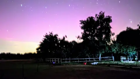 Graeme Healey A shot of a green space with purple skies 