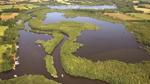 Mike Page An aerial shot of the Broads. It shows open waterways bisected by islands covered in green trees. 