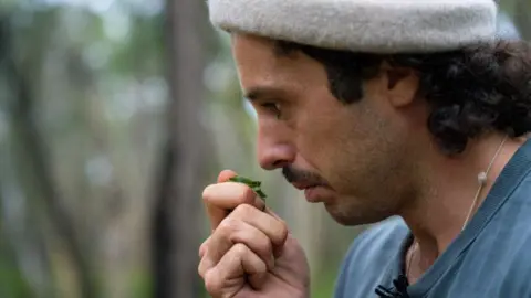 Nic Vevers Side profile of a man, with dark brown hair and a light-coloured beanie, holding a scrunched up leaf to his nose with a blurred forest in the background