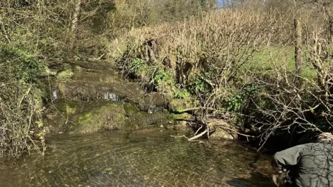 Liz Oldring The stream being used as an ark site