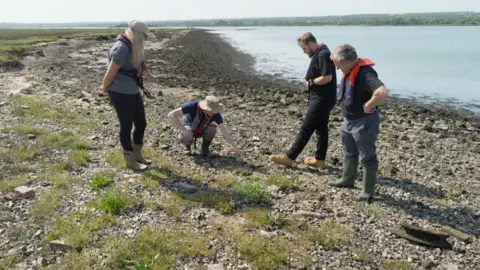 Four people on the shore of marshes next to an estuary. They are all looking down at the ground. One of them is crouched.