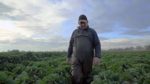 Man walking through a crop of brussels sprouts. He is looking down and wearing dark green waterproof dungarees and a fleece as well as a baseball cap. There is a cloudy sky behind him.