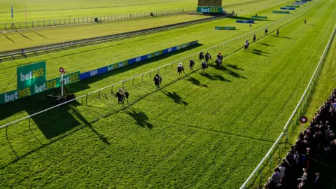 PA Media Horses race on the Rowley Mile at Newmarket Racecourse in Suffolk