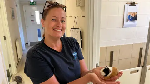 Phil Harrison/BBC A woman with her hair tied up wearing a navy RSPCA shirt. She is smiling and holding a white, black and ginger guinea pig.