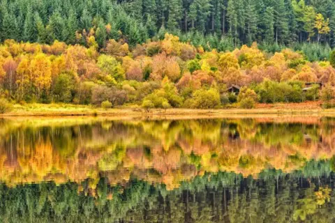 Frank McCafferty Yellow, brown and green autumn tree leaves, also reflected in a loch.