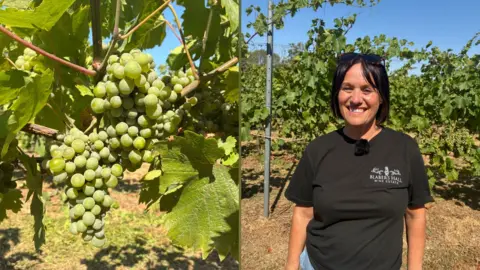 On the left is a picture of green grapes on a vine tree with green leaves around. On the right is a picture of Adele Adams in a black t-shirt smiling at the camera with sunglasses on the top of her head, with vine trees behind her.