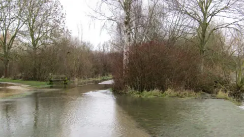 Peterborough Walks Flooded walkways inside a park with a bench partially submerged in water and trees around it.