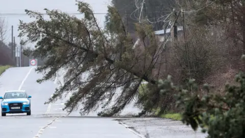 Getty Images A person drives a car past fallen trees on a carriageway. A very large tree is lying across the road, blocking one side.