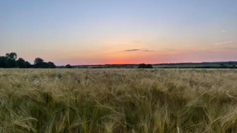 beachesandbridges A shadowy field with long, dried grass lies in the foreground. Above, the setting sun creates a colourful horizon, blending orange, pink, purple and blue. Trees and hills rise in the distance.