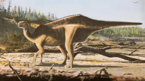 PA/James Brown An artist impression of a sandy-coloured dinosaur - its spine and tail have a row of small-feathers along them.