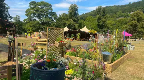 A field with small allotments all decorated with plants and flowers, with a gazebo in the background.