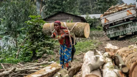 Jospin Mwisha/AFP/Getty Images A woman, wearing colourful print wraps, carries a massive log on her back through a clearing in Kibumba, DR Congo. Piles of logs are in front of her and behind a truck stacked with wood - Thursday 28 August 2025.