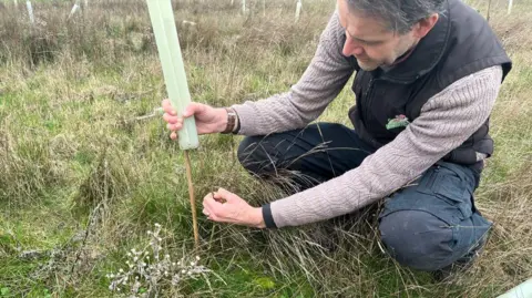 David Woricker kneeling down next to young trees in the community orchard. He is wearing a black gilet-style jacket and light brown jumper, with dark cargo trousers.