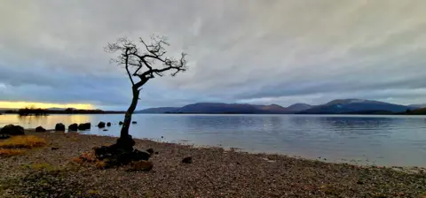 Scott MacKellar Loch at sunset with a tree growing next to it and the sun setting below the hills in the distance