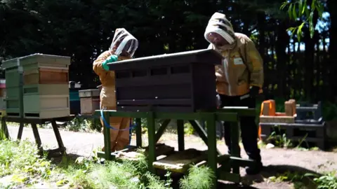 Two bee keepers wearing protective suits stood next to a bee apiary 