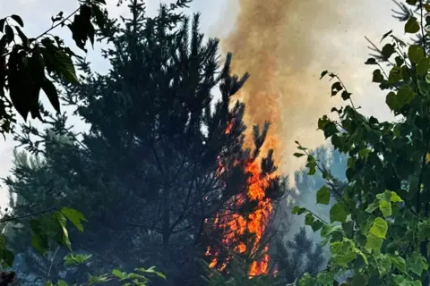 Market Drayton Fire Station Bright orange flames shoot out behind trees, with thick smoke rising above.