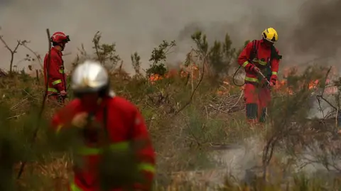 Firefighters of Paris Fire Brigade survey the scene amid the smoke and fire in Marcheprime west of Bordeaux on July 26, 2026 as a wildfire has been ravaging the forest north of the Arcachon Basin (Gironde) since July 22. The fire that has engulfed the area around the Arcachon Basin and is now threatening the outskirts of the Bordeaux metropolitan area has destroyed 42,000 hectares of "burned area," the Gironde prefecture announced; the prefecture has evacuated a total of 220,000 people since July 22. 