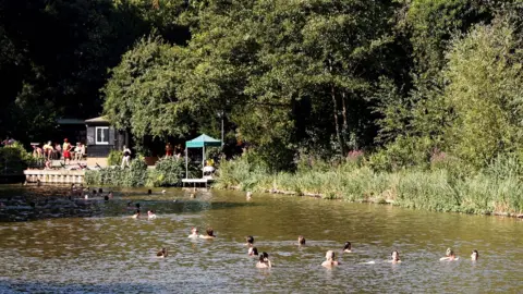 Swimmers in Hampstead Heath ponds on a sunny day taken from a distance