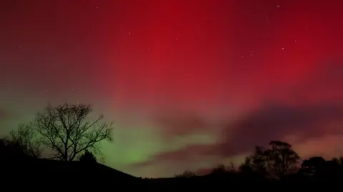 BBC weather watcher/ Louis The Northern Lights lighting up the sky in shades of pink and green. A row of trees are visible at the bottom of the image. 