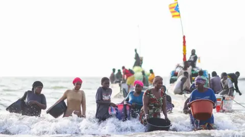 Cem Ozdel / Getty Images Women holding plastic buckets stand in water on a beach facing the camera - behind them can be seen traditional Gambian fishing boats, Tanji Beach, The Gambia - 12 February 2025.