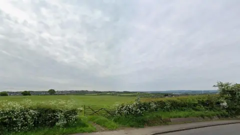 Green field with a gate at the front and grey skies above