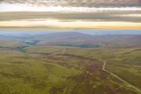 TVNR An aerial view of the green rolling landscape of the Tarras Valley Nature Reserve