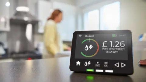 A smart electricity meter sitting on a kitchen countertop. 