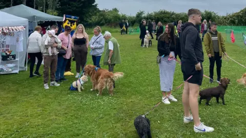 Immingham Dogs Home A grassy outdoor event with people and dogs gathered under a cloudy sky. There are tents, a person in a costume and various breeds of dogs on leads.