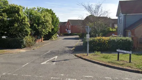 Google Admiral Road in Ipswich. There is a row of houses and trees and each side of the road.