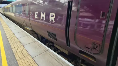 An EMR train in purple livery next to a train station stop