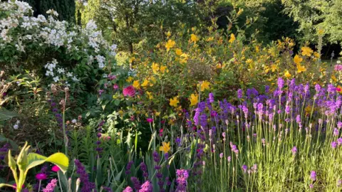 Robin MONDAY - A colourful flower bed in Aldworth. In the foreground there are small purple flowers dappled in sunlight, behind there is a sweep of yellow and white flowers and in the background are the leaves of green trees.