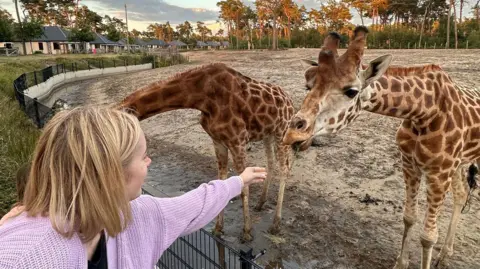 Rebecca Saunders Rebecca, turned away from the camera, wearing a light pink/purple cardigan. She is reaching out towards two giraffes who are behind a fence in a zoo. 