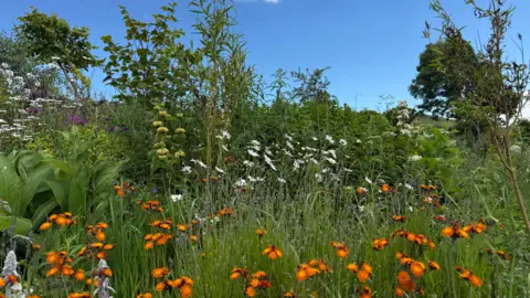 Toby the Gardener Under a bright blue sky, orange flowers and oxeye daisies stand amid the long grass, backed by shrubs and trees. 