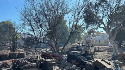 BBC Buildings and businesses in Vrilissia have been left gutted by the fires