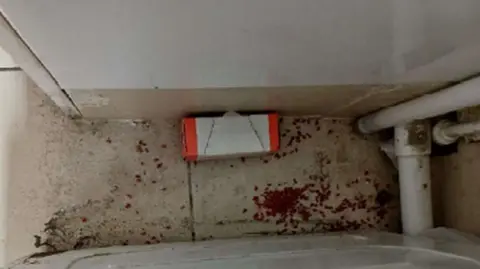 Reading Borough Council A white box with an orange stripe at either end contains brown rodent bait pellets, which has spilt out across the concrete floor.