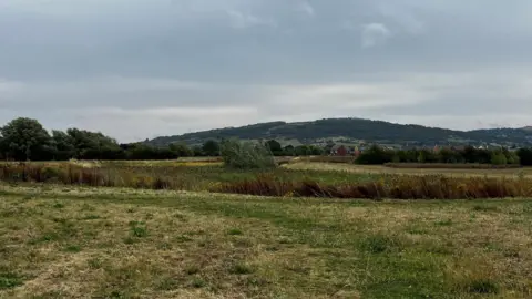 Field with water source overgrown with plants and grasses